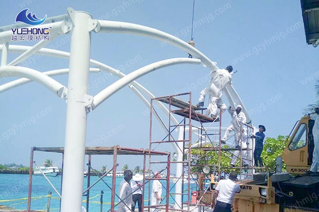 1582365467831531.jpg 1 (6).jpg