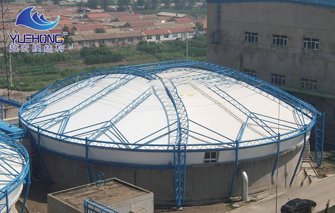 1592903419917921.jpg 1 (5).jpg