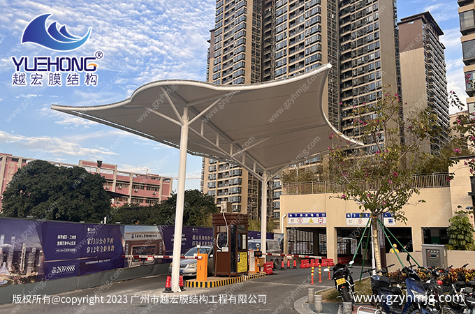 1673337339820209.jpg IMG_2010.JPG